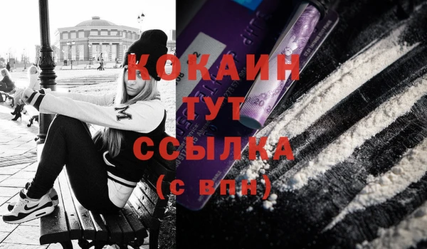 дживик Вязники