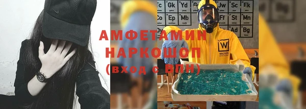 гидра Вяземский