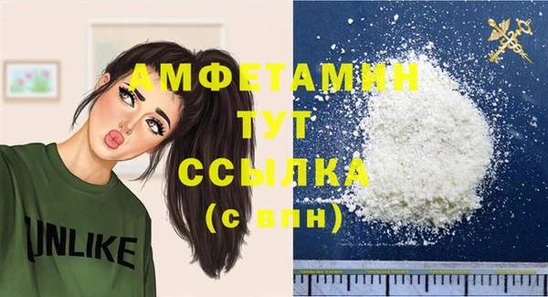 гидра Вяземский