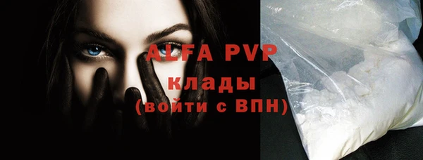 гидра Вяземский