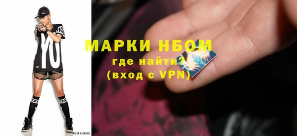 гидра Вяземский