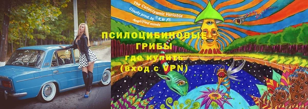 амф Вязьма