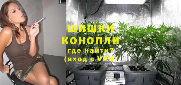 гидра Вяземский